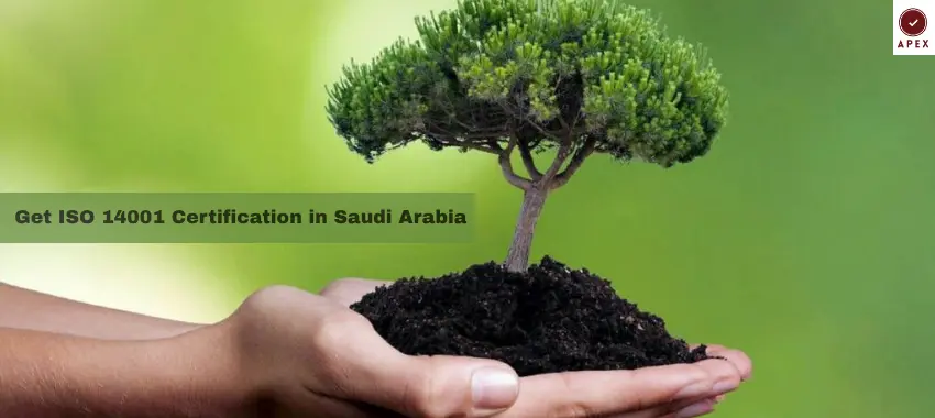 How to Get ISO 14001 Certified: Step-by-Step Process