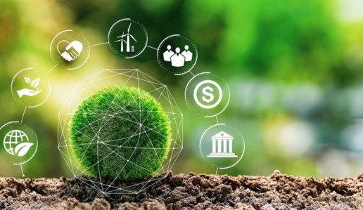 Process of ISO 14001 Certified