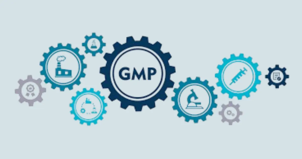GMP Certification in Qatar